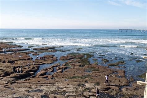 OCEAN BEACH (San Diego): All You Need to Know BEFORE You Go