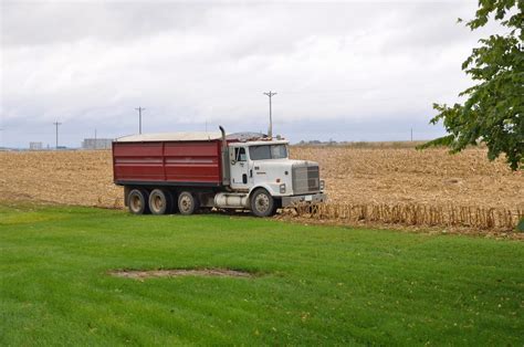 Grain Truck! - the farmer and the southern belle