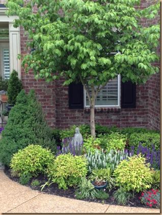 Pin by Hyla Sue on Garden ideas | Evergreen landscape front yard, Front ...