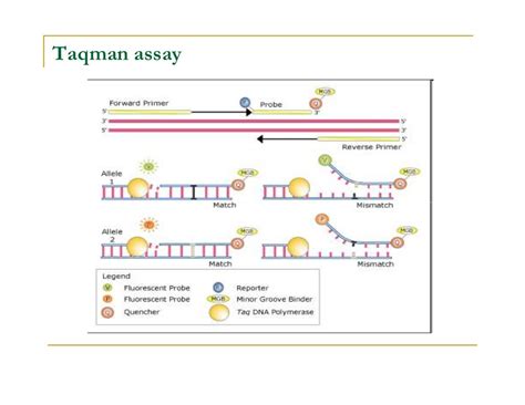 SNP Genotyping Technologies