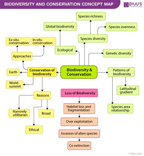 Best Biodiversity and Conservation Class 12 Notes - ReadAxis