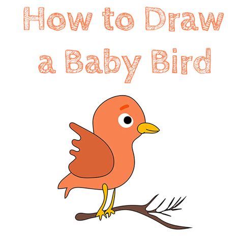 How to Draw a Baby Bird - How to Draw Easy