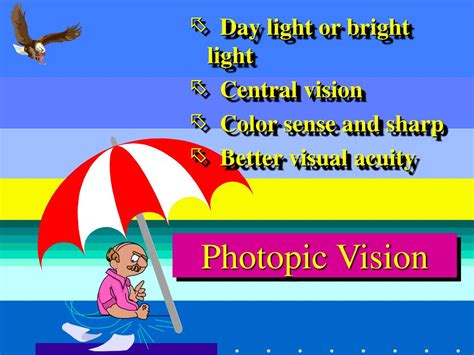 PPT - PHYSIOLOGY OF THE EYE PowerPoint Presentation, free download - ID:6683797