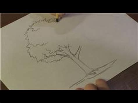 Nature Drawings : How to Draw a Walnut Tree - YouTube