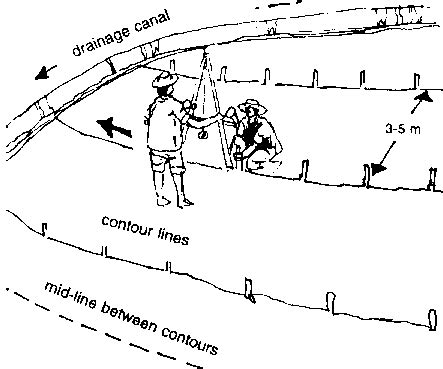 4. Vetiver for SWC in 2022 | Contour farming, Contour planting, Soil conservation