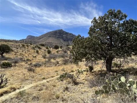 10 Best Hikes and Trails in Guadalupe Mountains National Park | AllTrails