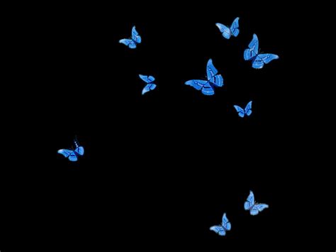 Butterfly Laptop Aesthetic, Butterflies Aesthetic HD wallpaper | Pxfuel