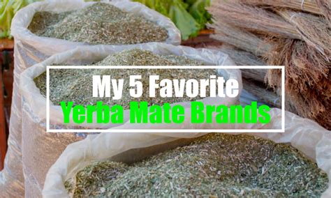 My 5 FAVORITE Yerba Mate Brands (Out Of 50+ Brands) - Yerba Mate Lab