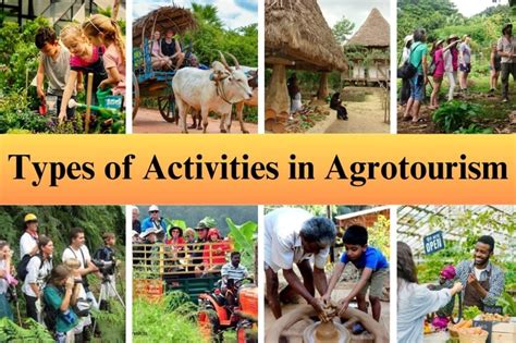 What is Agrotourism ? Agrotourism in India