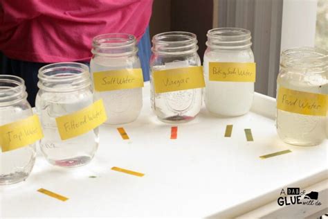 Water pH Science Experiment: Simple Science for Kids