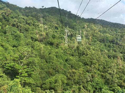 Skyrail Rainforest Cableway | TrailblazerGirl