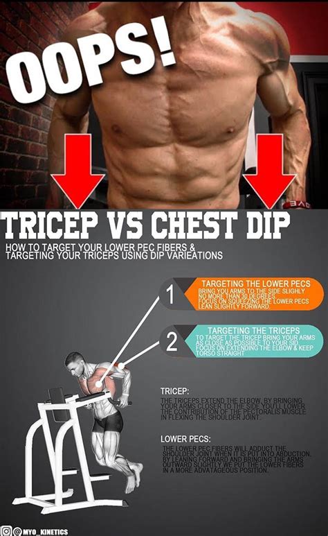 HOW TO CHEST DIPS | VIDEO & GUIDE - weighteasyloss.com - Fitness Lifestyle | Fitness and ...