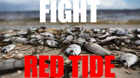 Fight Red Tide - Save Our Waters - Turn Our Tides - YouTube