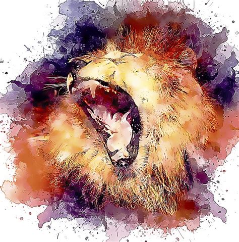 Download Lion, Pride, Male. Royalty-Free Stock Illustration Image - Pixabay