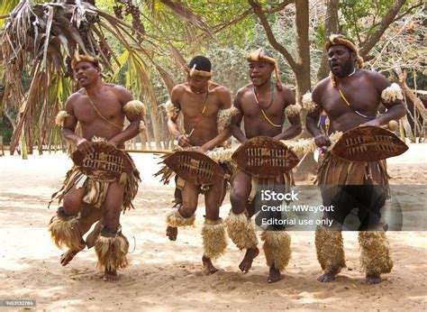 Zulu Traditional Dancing Zululand South Africa Stock Photo - Download Image Now - African ...