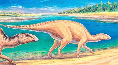 Herbivore dinosaur that roamed Earth 72 million years ago