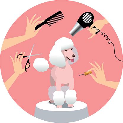 Dog Grooming Stock Illustration - Download Image Now - iStock