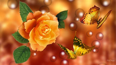 3D Yellow Rose Wallpapers | Best Yellow Rose HD LiveWallpaper