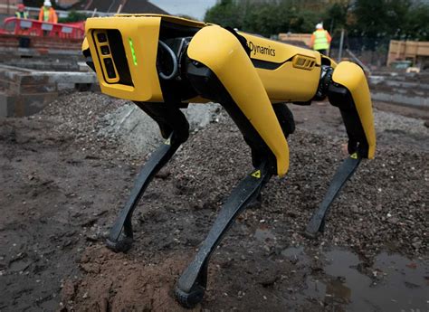 MTC takes delivery of Spot the robotic dog - UK News Group