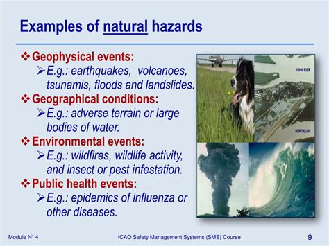 PPT - Module N° 4 – Hazards PowerPoint Presentation, free download - ID ...