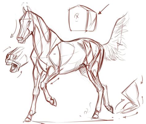 Horse Drawing Reference and Sketches for Artists