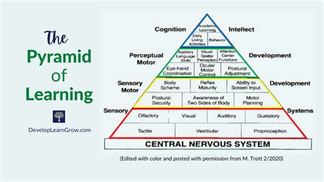 The Pyramid of Learning - DEVELOP LEARN GROW