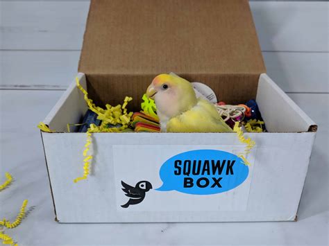 Squawk Box Subscription Review - April 2018 - hello subscription