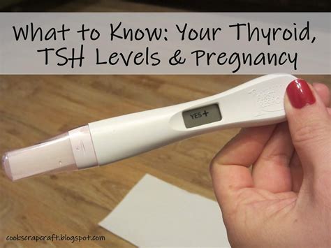 What to Know: Your Thyroid, TSH Levels, & Pregnancy