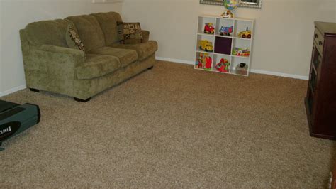 What is a Frieze Carpet? The Pros and Cons