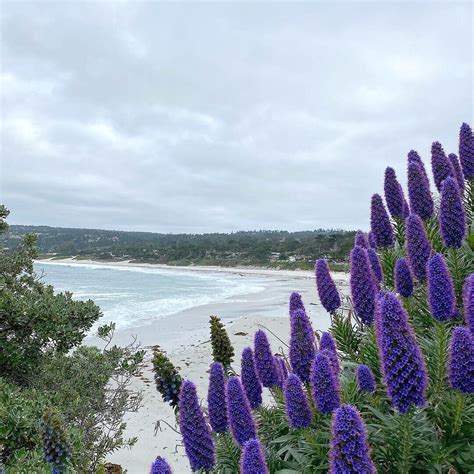 Four Seasons of Carmel-by-the-Sea | Carmel Retreats — Vacation Rentals in Carmel | Carmel Retreats