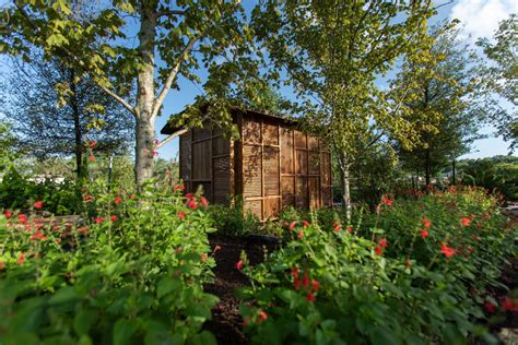 Walk Through the Houston Botanic Garden – Garden & Gun