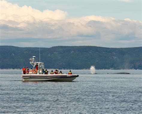 Experience Tadoussac Whale Watching With A First Nations Twist - Adventure Family Travel ...