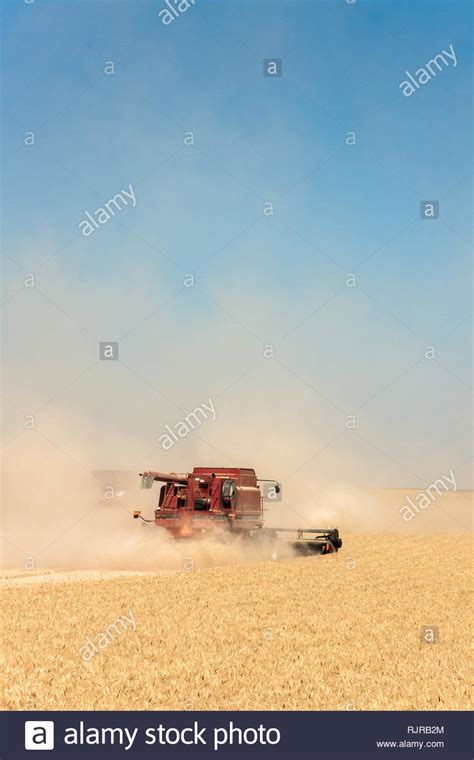 Chaff wheat hi-res stock photography and images - Alamy