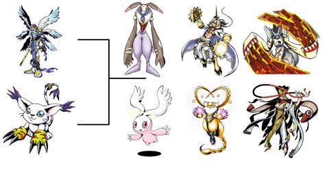 Angemon Evolution Chart - Go Images Street