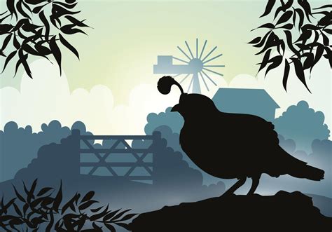 Silhouette Of Beautiful Quail Bird Vector 161315 Vector Art at Vecteezy