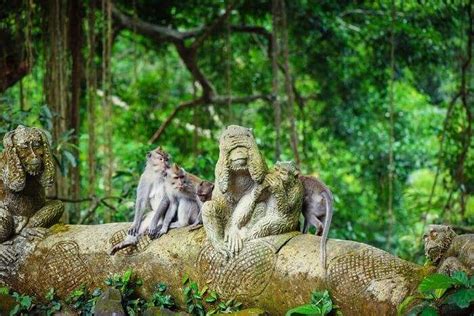 Ubud Monkey Forest: Visit The Land Of Notorious Macaques