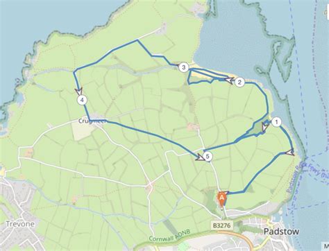 Padstow Epic Trail 10k & Half Marathon - Running in Padstow — Let’s Do This