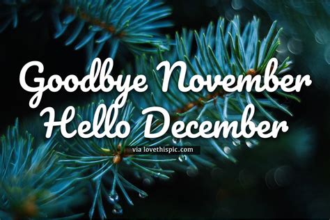 Pine Tree Goodbye November Hello December Quote Pictures, Photos, and Images for Facebook ...