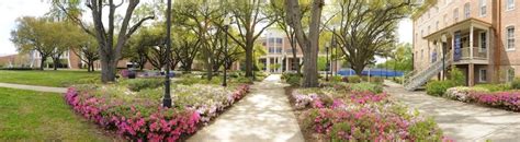 1000+ images about JSU Campus Images on Pinterest | Beautiful, College of and Student