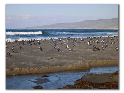 Digital Photos: Jalama Beach