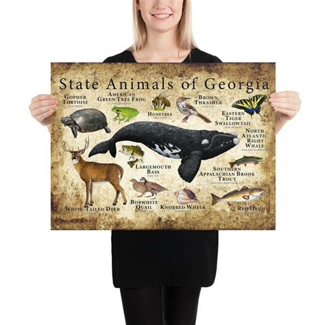 Georgia State Animals Poster Print - Etsy