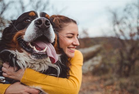 Dog Lovers Connect and Find Pup-Approved Love - ANIMAL HEALTH INSTITUTE