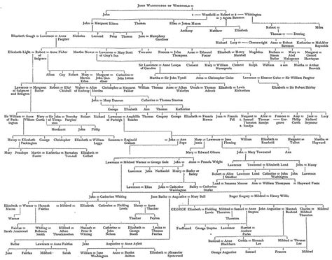 George Washington Family Tree