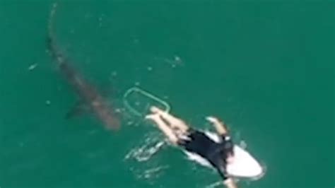 Australian shark attack fatalities rising, northern NSW beaches named most dangerous | Herald Sun