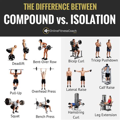 Compound Exercises | Compound exercises, Online fitness coaching, Weight training workouts