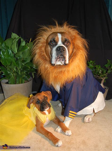 Beauty and the Beast Dogs Costume