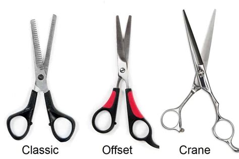 6 Different Types of Hair Cutting Scissors and Their Uses – HairstyleCamp