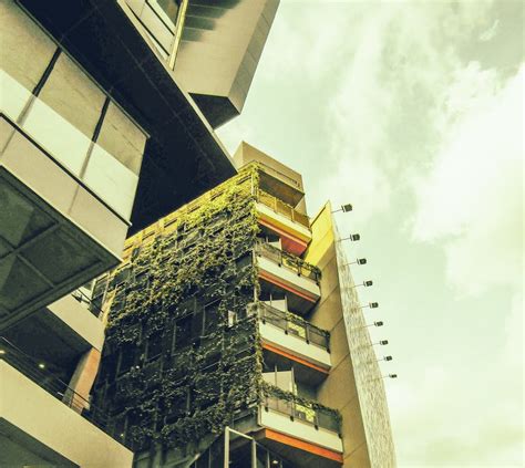 Free stock photo of apartment building, daylight, plants on wall