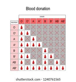 Blood Donation Chart Recipient Donor Types Stock Vector (Royalty Free ...