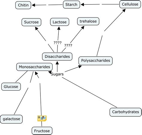 Carbohydrates Concept Map